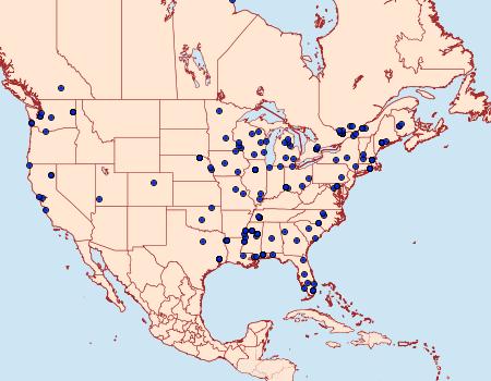 Distribution Data for Caloptilia stigmatella