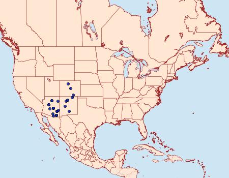 Distribution Data for Digrammia yavapai