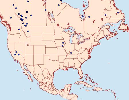 Distribution Data for Digrammia rippertaria