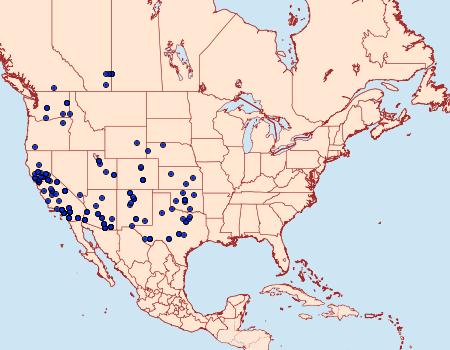 Distribution Data for Digrammia irrorata