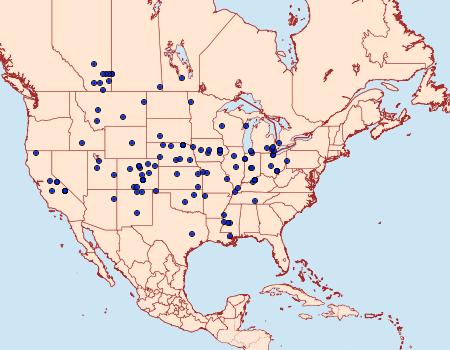 Distribution Data for Digrammia subminiata