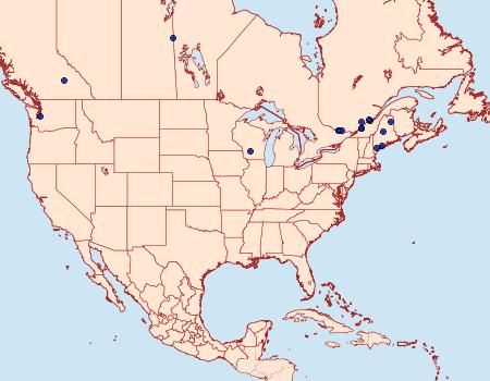 Distribution Data for Caloptilia strictella