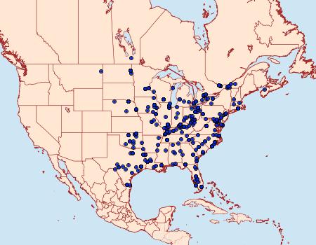 Distribution Data for Digrammia gnophosaria