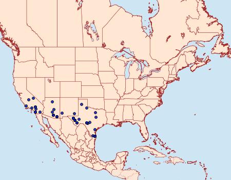 Distribution Data for Frederickia prolificata