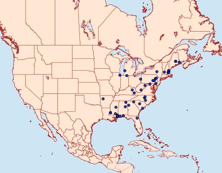 Distribution Data for Caloptilia superbifrontella