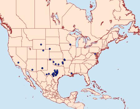 Distribution Data for Digrammia pallidata