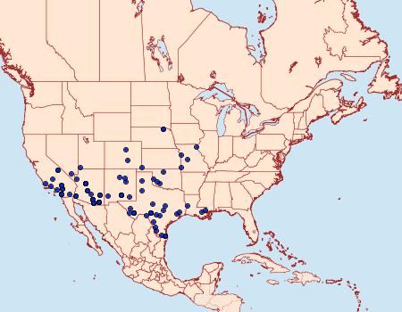 Distribution Data for Frederickia cyda