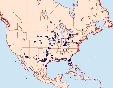 Distribution Data for Isturgia dislocaria