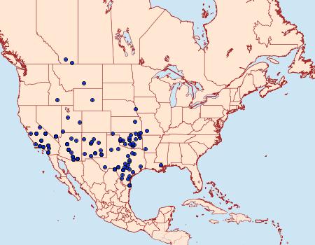 Distribution Data for Narraga fimetaria