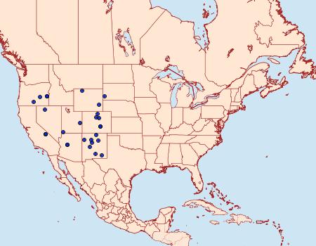 Distribution Data for Narraga stalachtaria