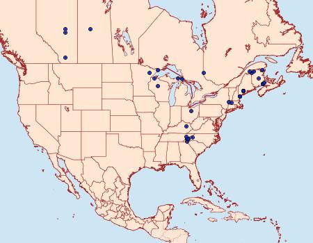 Distribution Data for Orthofidonia tinctaria