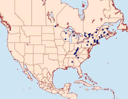 Distribution Data for Orthofidonia flavivenata