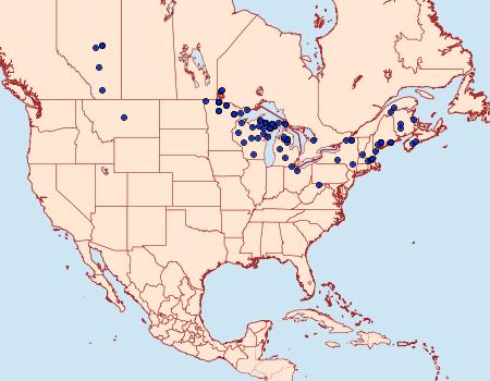 Distribution Data for Ematurga amitaria