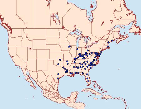 Distribution Data for Hypomecis umbrosaria