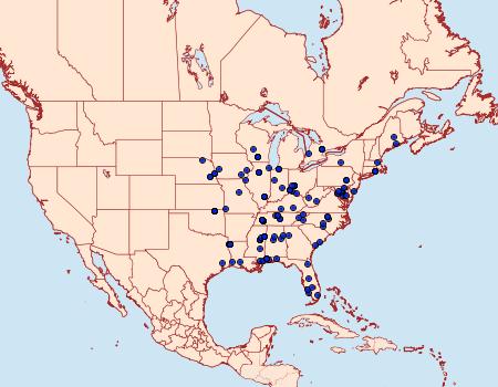 Distribution Data for Caloptilia violacella