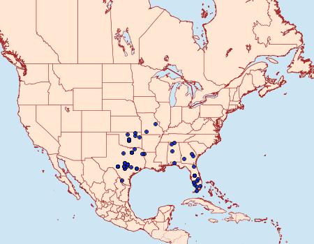 Distribution Data for Pimaphera sparsaria