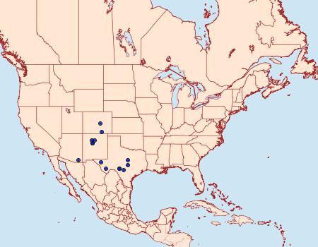 Distribution Data for Glena furfuraria