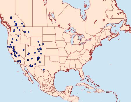 Distribution Data for Glena nigricaria