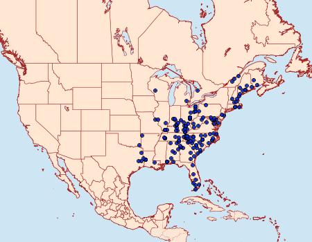 Distribution Data for Glena cribrataria