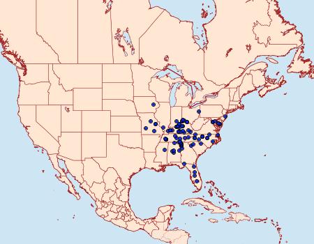 Distribution Data for Glena plumosaria