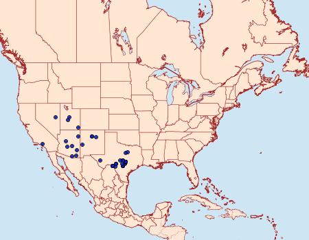 Distribution Data for Glena quinquelinearia