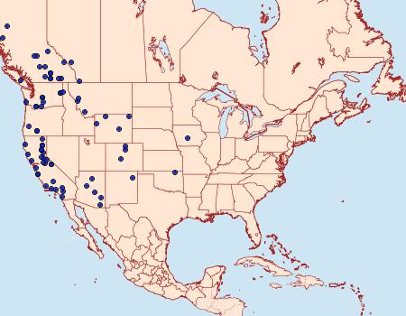 Distribution Data for Stenoporpia pulmonaria