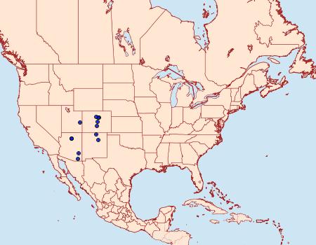 Distribution Data for Stenoporpia glaucomarginaria