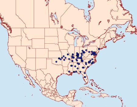 Distribution Data for Exelis pyrolaria