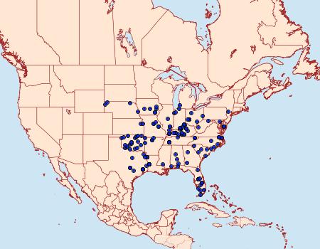 Distribution Data for Tornos scolopacinaria