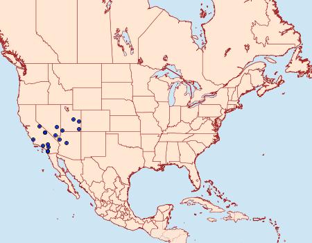 Distribution Data for Glaucina golgolata