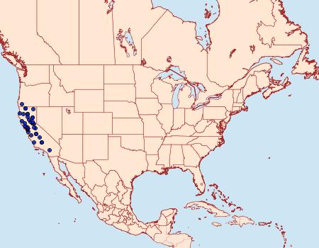 Distribution Data for Pterotaea cariosa