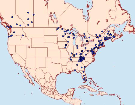 Distribution Data for Aethalura intertexta