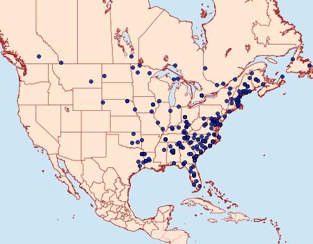 Distribution Data for Iridopsis vellivolata