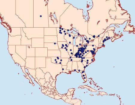 Distribution Data for Iridopsis humaria