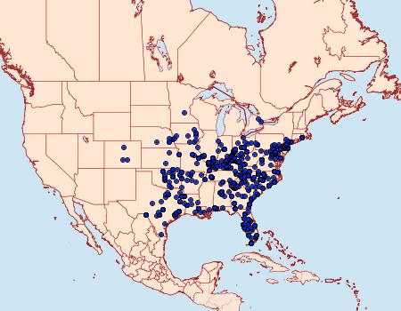 Distribution Data for Iridopsis defectaria