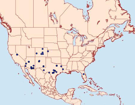 Distribution Data for Anavitrinella atristrigaria