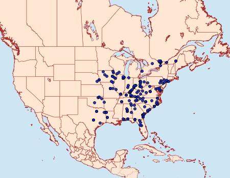 Distribution Data for Cleora sublunaria