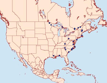 Distribution Data for Cleora projecta