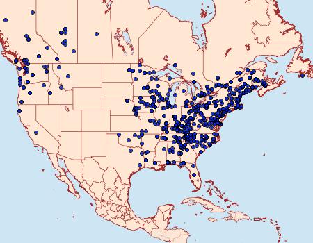 Distribution Data for Ectropis crepuscularia