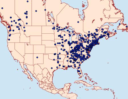 Distribution Data for Protoboarmia porcelaria