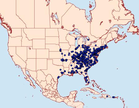 Distribution Data for Epimecis hortaria