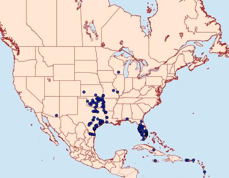 Distribution Data for Melanchroia chephise