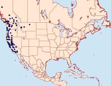 Distribution Data for Melanolophia imitata