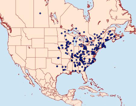 Distribution Data for Melanolophia signataria