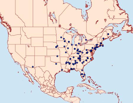 Distribution Data for Neurobathra strigifinitella