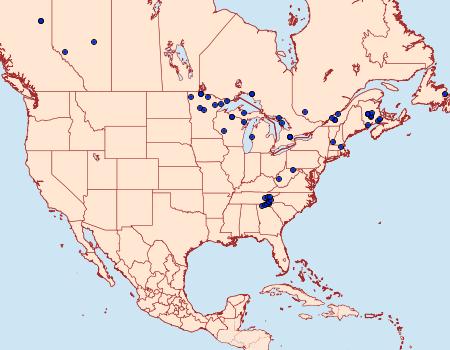 Distribution Data for Eufidonia convergaria