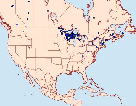 Distribution Data for Eufidonia discospilata