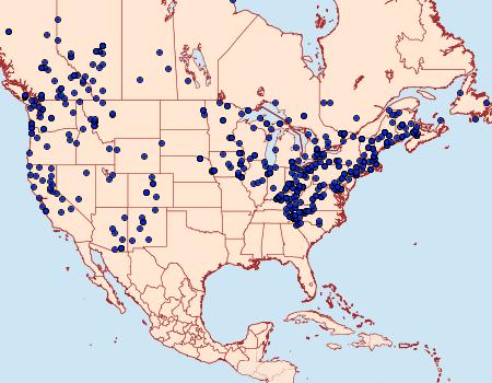 Distribution Data for Biston betularia