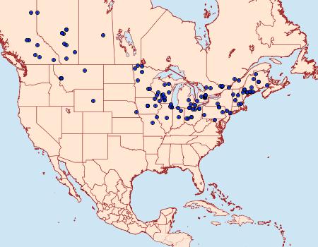 Distribution Data for Lycia ursaria