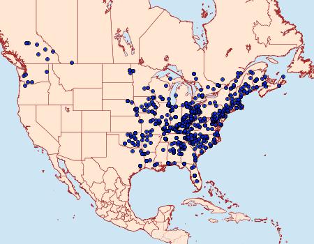 Distribution Data for Hypagyrtis unipunctata